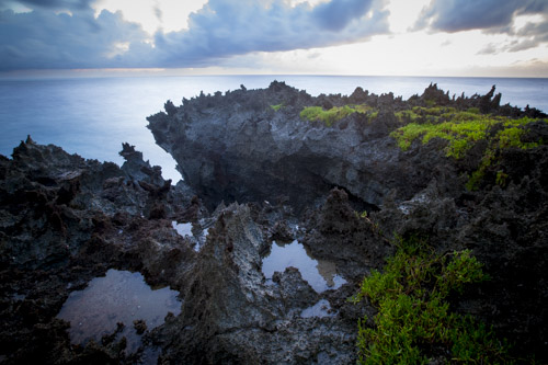 christmas island photo tour example 34